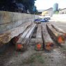 Vends poutres grandes longueur