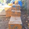 poutres sapins (solde de chantier)