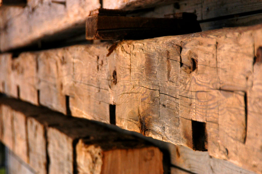 Ancienne poutre en chêne avec traces de solives